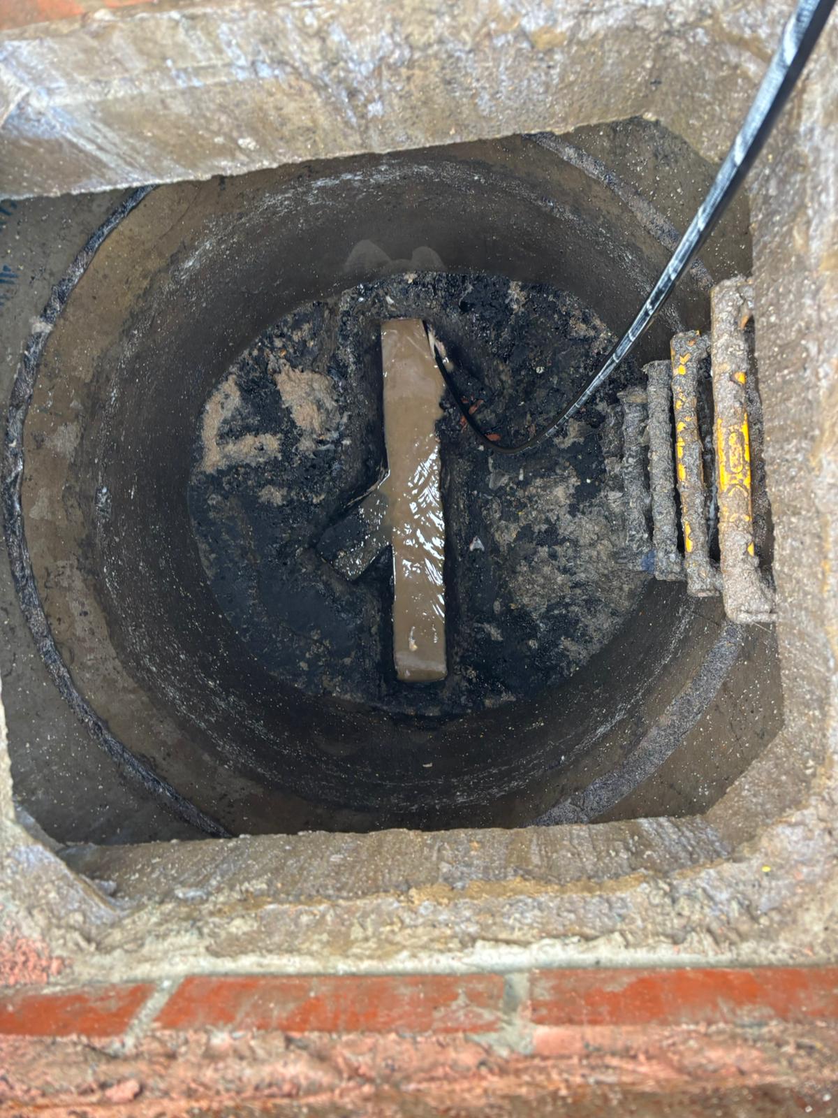 WhatsApp Image 2025 02 03 at 21.20.46